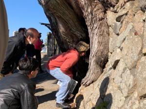 潮音寺(ビャクシン)