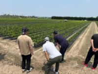 苗木生産ほ場見学