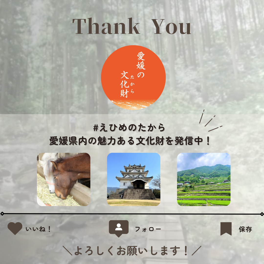 えひめのたから