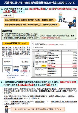 災害時における中山間地域等直接支払交付金の活用について