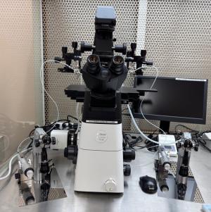 倒立顕微鏡システムの画像