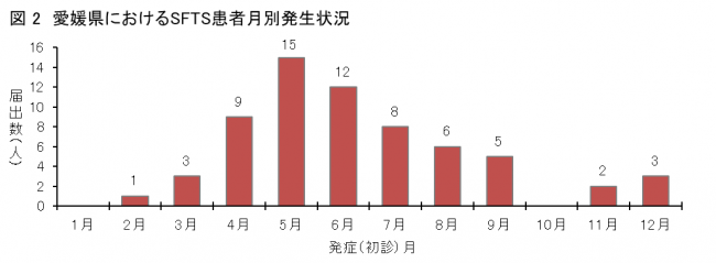 発生時期