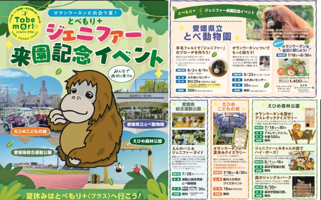 チラシ