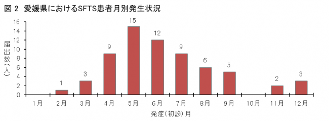 発生時期