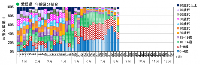 年齢別（割合）