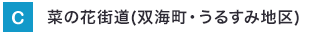 菜の花街道(双美町・うるすみ地区)