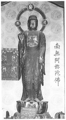 木造阿弥陀如来立像（光徳院）の画像