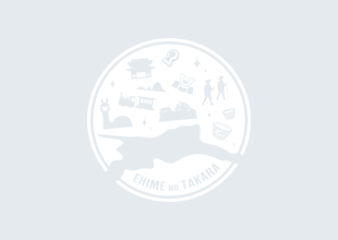 刀(銘 慶長九年二月吉日信濃守国広作､依賀茂県主保経所望打之)の画像