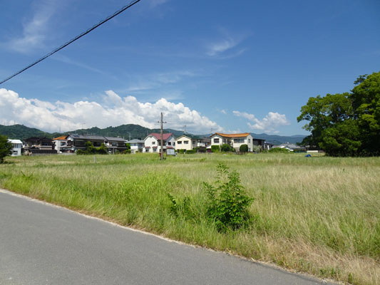 久米官衙遺跡群　久米官衙遺跡　来住廃寺跡の画像2