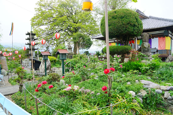 法安寺跡の画像2