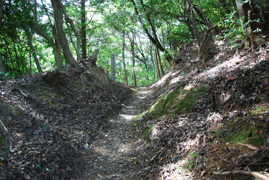 伊予遍路道（仏木寺道）の画像