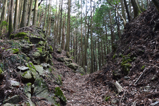 伊予遍路道（浄瑠璃寺道）の画像1