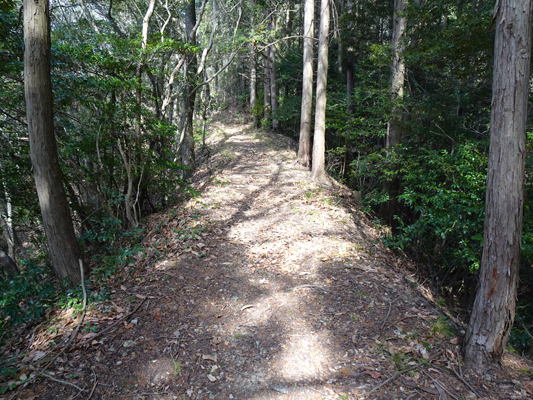 伊予遍路道（明石寺道）の画像3