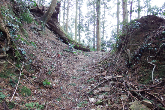 八幡浜街道（笠置峠越）の画像1