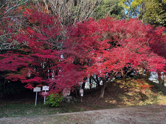 東野お茶屋跡の画像2