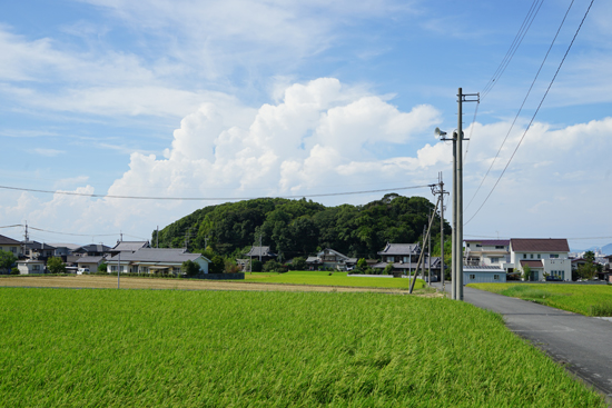 伊予岡古墳の画像1