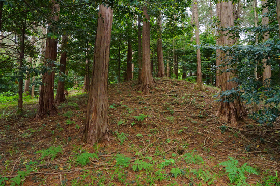 船山古墳群の画像3