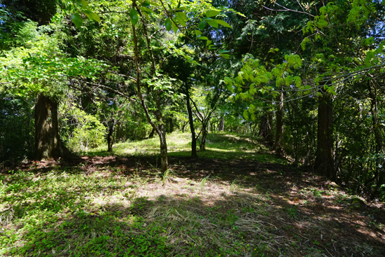 三滝城跡の画像3