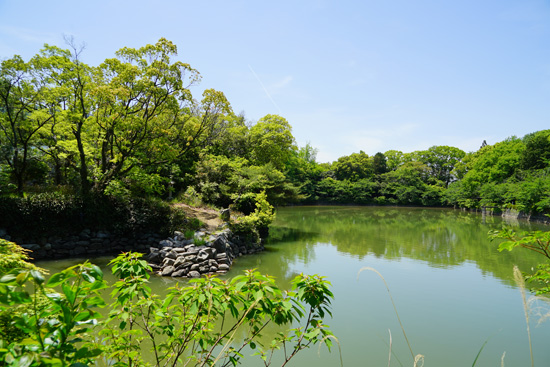旧広瀬氏庭園の画像4