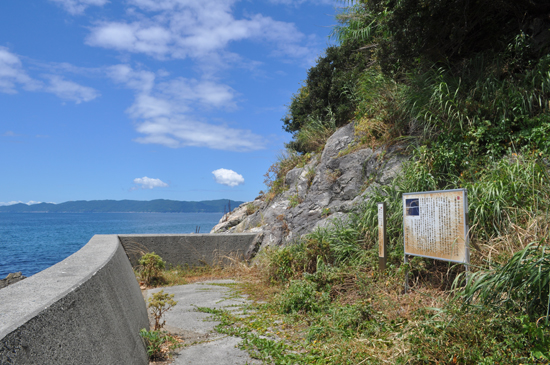 八幡浜市大島のシュードタキライト及び変成岩類の画像1