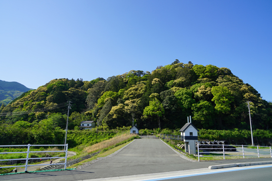 八幡神社社叢の画像1