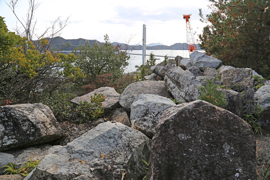 エジル石閃長岩の画像