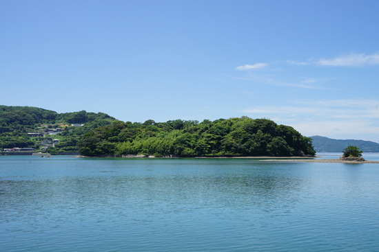 大島の樹林の画像