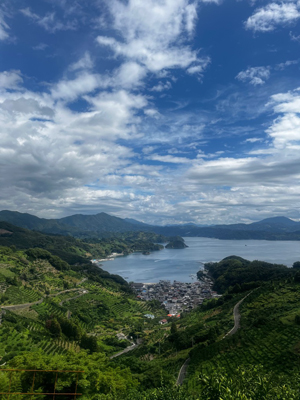 宇和海狩浜の段畑と農漁村景観の画像