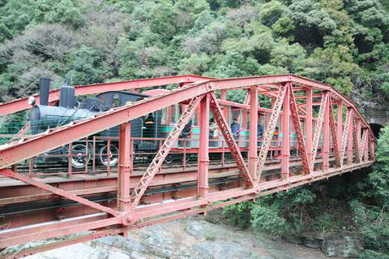 旧別子鉱山鉄道端出場鉄橋（足谷川鉄橋）の画像1